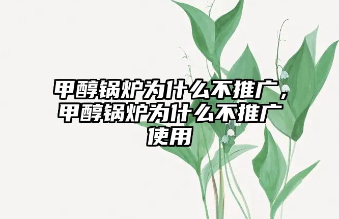 甲醇鍋爐為什么不推廣，甲醇鍋爐為什么不推廣使用