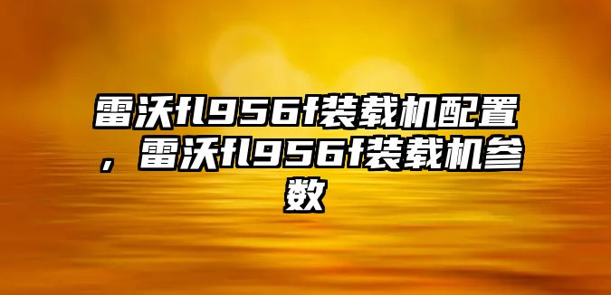 雷沃fl956f裝載機配置，雷沃fl956f裝載機參數(shù)