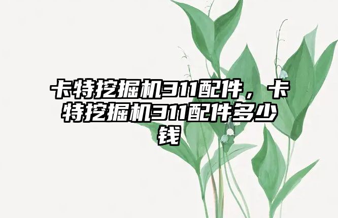 卡特挖掘機311配件，卡特挖掘機311配件多少錢