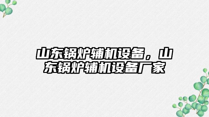 山東鍋爐輔機(jī)設(shè)備，山東鍋爐輔機(jī)設(shè)備廠家