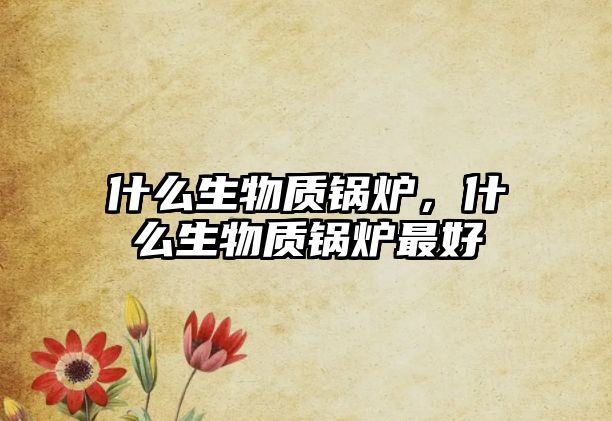 什么生物質(zhì)鍋爐，什么生物質(zhì)鍋爐最好