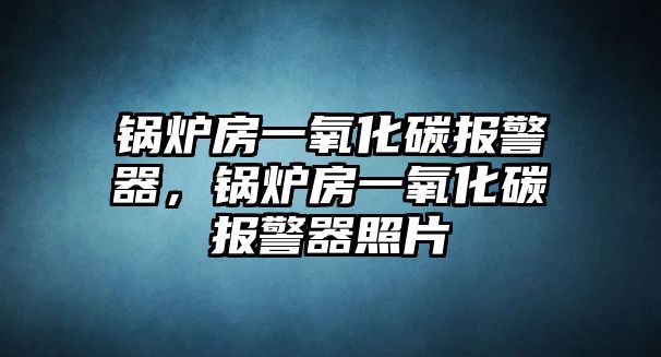 鍋爐房一氧化碳報(bào)警器，鍋爐房一氧化碳報(bào)警器照片