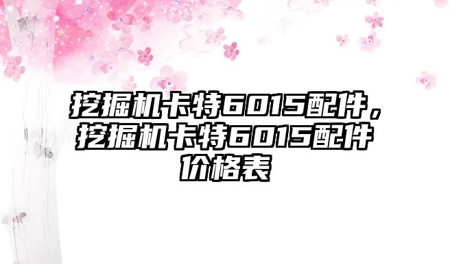 挖掘機(jī)卡特6015配件，挖掘機(jī)卡特6015配件價(jià)格表