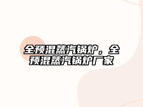 全預(yù)混蒸汽鍋爐，全預(yù)混蒸汽鍋爐廠家