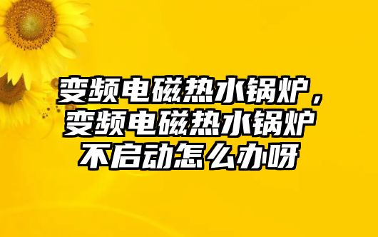 變頻電磁熱水鍋爐，變頻電磁熱水鍋爐不啟動怎么辦呀