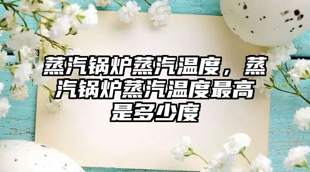 蒸汽鍋爐蒸汽溫度，蒸汽鍋爐蒸汽溫度最高是多少度