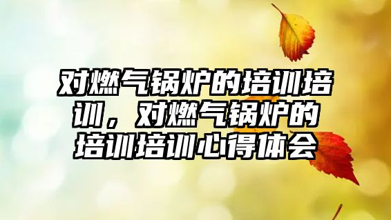 對(duì)燃?xì)忮仩t的培訓(xùn)培訓(xùn)，對(duì)燃?xì)忮仩t的培訓(xùn)培訓(xùn)心得體會(huì)