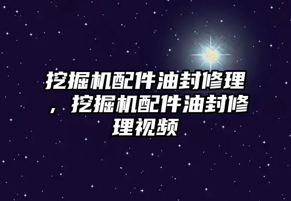 挖掘機(jī)配件油封修理，挖掘機(jī)配件油封修理視頻