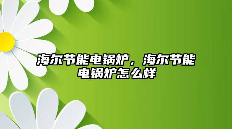 海爾節(jié)能電鍋爐，海爾節(jié)能電鍋爐怎么樣