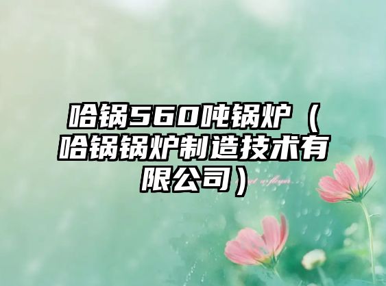 哈鍋560噸鍋爐（哈鍋鍋爐制造技術(shù)有限公司）