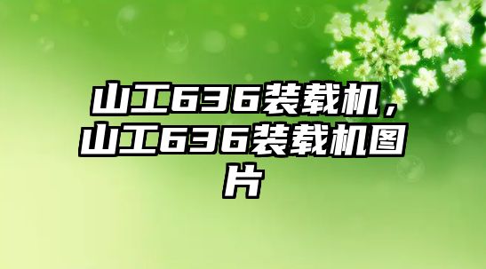 山工636裝載機(jī)，山工636裝載機(jī)圖片