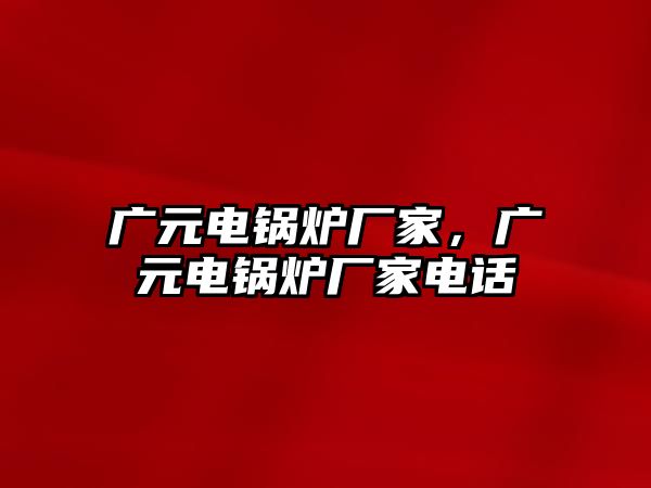 廣元電鍋爐廠家，廣元電鍋爐廠家電話