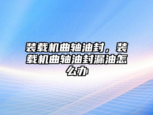 裝載機(jī)曲軸油封，裝載機(jī)曲軸油封漏油怎么辦