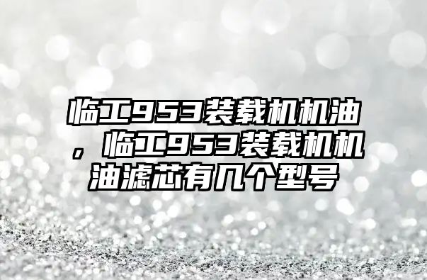 臨工953裝載機(jī)機(jī)油，臨工953裝載機(jī)機(jī)油濾芯有幾個(gè)型號(hào)