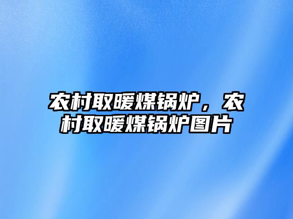 農(nóng)村取暖煤鍋爐，農(nóng)村取暖煤鍋爐圖片