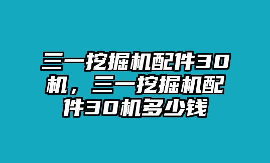 三一挖掘機(jī)配件30機(jī)，三一挖掘機(jī)配件30機(jī)多少錢(qián)