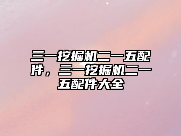 三一挖掘機(jī)二一五配件，三一挖掘機(jī)二一五配件大全