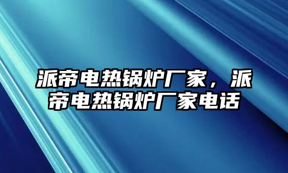 派帝電熱鍋爐廠家，派帝電熱鍋爐廠家電話