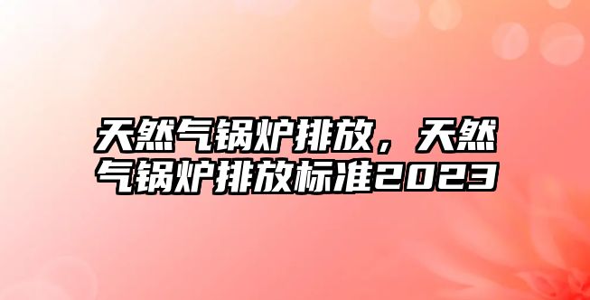 天然氣鍋爐排放，天然氣鍋爐排放標準2023