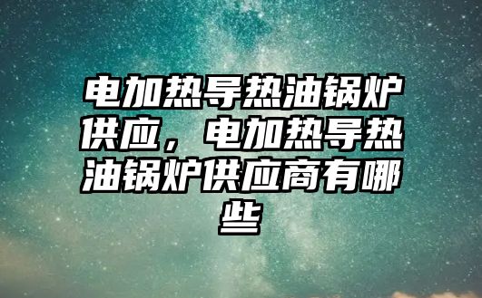 電加熱導熱油鍋爐供應(yīng)，電加熱導熱油鍋爐供應(yīng)商有哪些