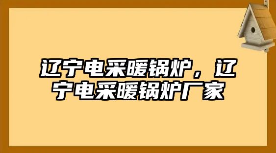 遼寧電采暖鍋爐，遼寧電采暖鍋爐廠家