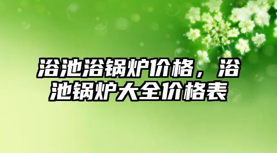 浴池浴鍋爐價格，浴池鍋爐大全價格表