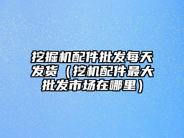 挖掘機配件批發(fā)每天發(fā)貨（挖機配件最大批發(fā)市場在哪里）