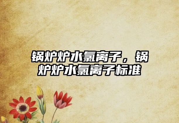 鍋爐爐水氯離子，鍋爐爐水氯離子標(biāo)準(zhǔn)