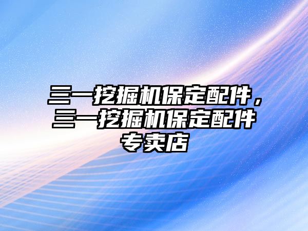 三一挖掘機保定配件，三一挖掘機保定配件專賣店