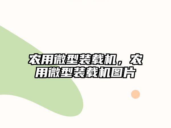 農(nóng)用微型裝載機，農(nóng)用微型裝載機圖片