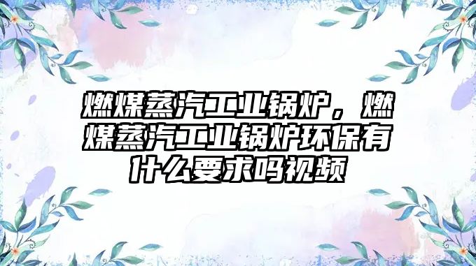 燃煤蒸汽工業(yè)鍋爐，燃煤蒸汽工業(yè)鍋爐環(huán)保有什么要求嗎視頻