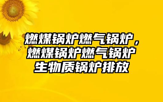 燃煤鍋爐燃?xì)忮仩t，燃煤鍋爐燃?xì)忮仩t生物質(zhì)鍋爐排放