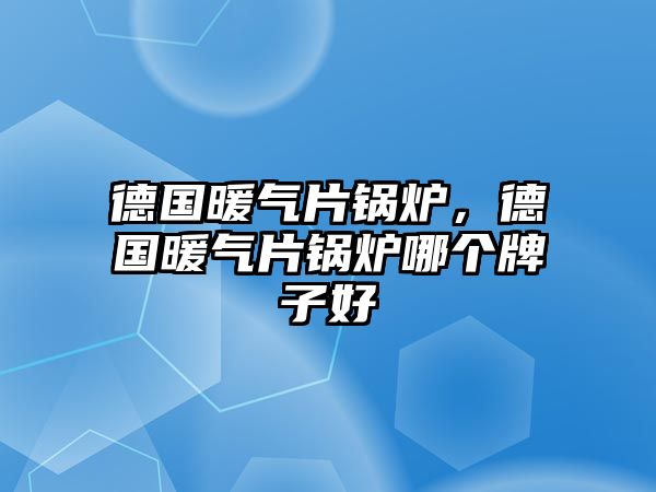 德國暖氣片鍋爐，德國暖氣片鍋爐哪個牌子好