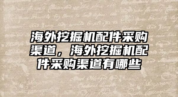 海外挖掘機(jī)配件采購渠道，海外挖掘機(jī)配件采購渠道有哪些