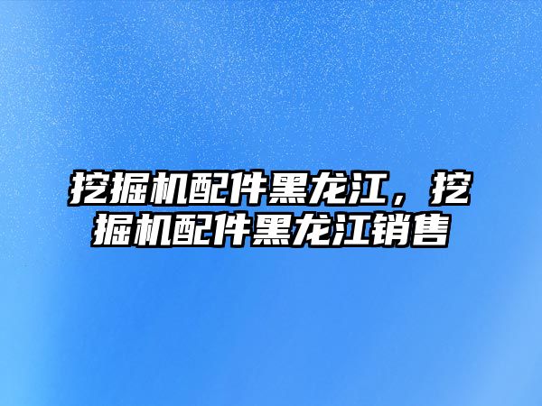 挖掘機(jī)配件黑龍江，挖掘機(jī)配件黑龍江銷售