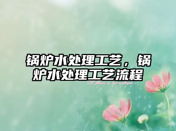 鍋爐水處理工藝，鍋爐水處理工藝流程