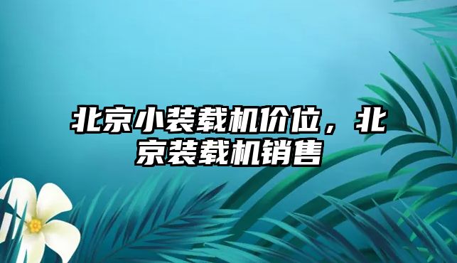 北京小裝載機(jī)價(jià)位，北京裝載機(jī)銷(xiāo)售