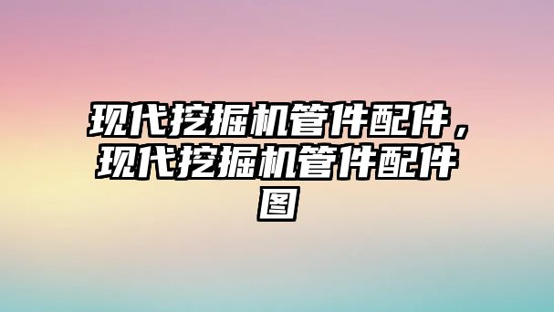 現(xiàn)代挖掘機(jī)管件配件，現(xiàn)代挖掘機(jī)管件配件圖