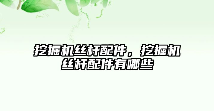 挖掘機(jī)絲桿配件，挖掘機(jī)絲桿配件有哪些