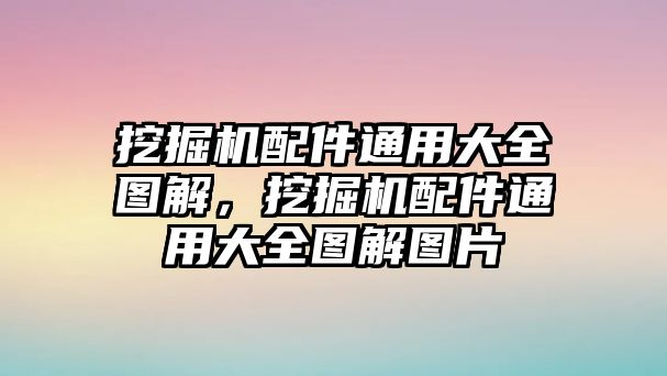 挖掘機配件通用大全圖解，挖掘機配件通用大全圖解圖片