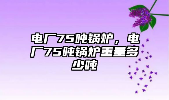 電廠75噸鍋爐，電廠75噸鍋爐重量多少噸