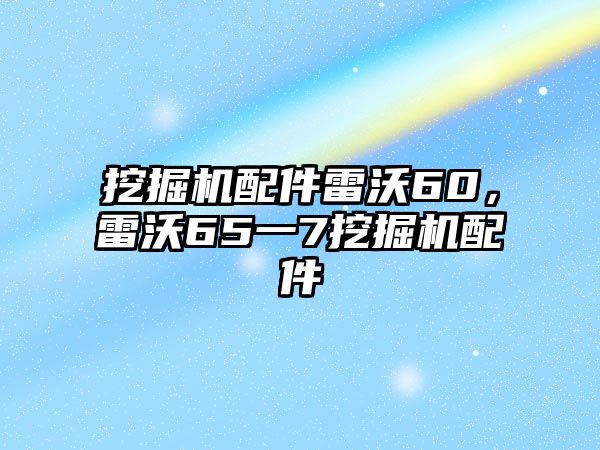 挖掘機(jī)配件雷沃60，雷沃65一7挖掘機(jī)配件