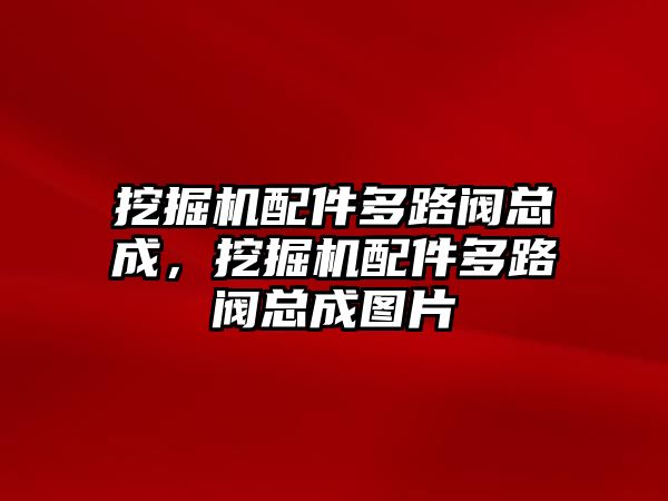 挖掘機(jī)配件多路閥總成，挖掘機(jī)配件多路閥總成圖片