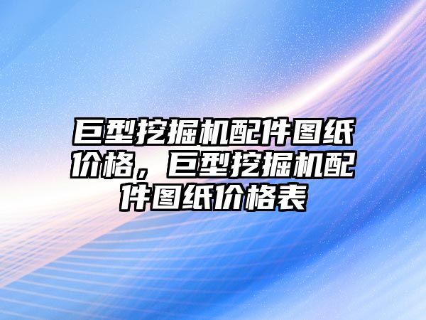 巨型挖掘機配件圖紙價格，巨型挖掘機配件圖紙價格表