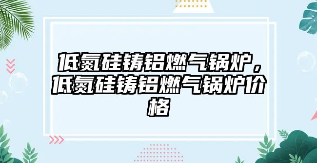 低氮硅鑄鋁燃?xì)忮仩t，低氮硅鑄鋁燃?xì)忮仩t價(jià)格