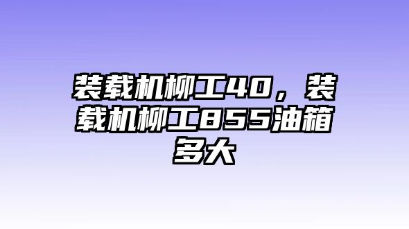 裝載機(jī)柳工40，裝載機(jī)柳工855油箱多大