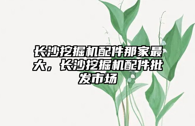 長沙挖掘機配件那家最大，長沙挖掘機配件批發(fā)市場