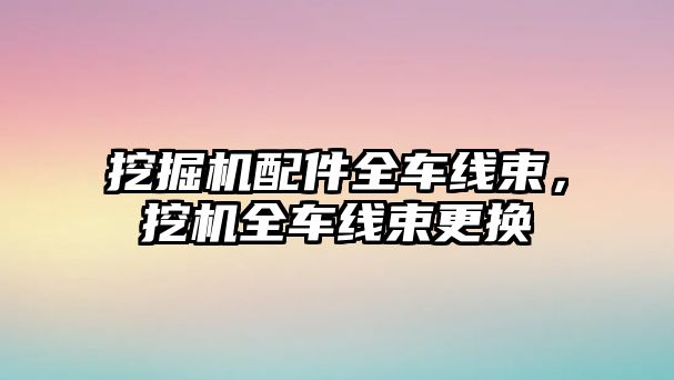 挖掘機配件全車線束，挖機全車線束更換