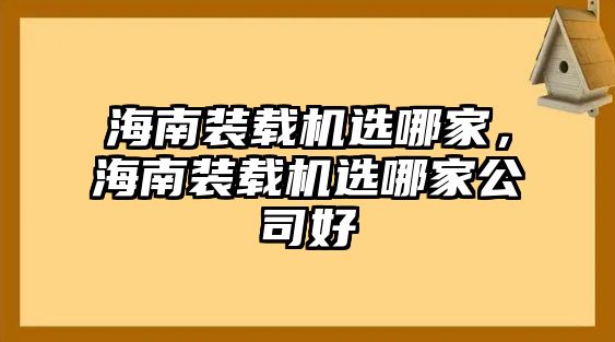 海南裝載機(jī)選哪家，海南裝載機(jī)選哪家公司好