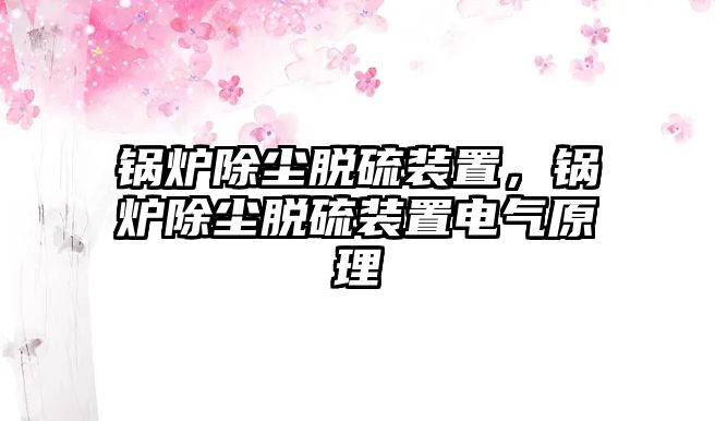 鍋爐除塵脫硫裝置，鍋爐除塵脫硫裝置電氣原理